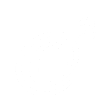 eSquared logo